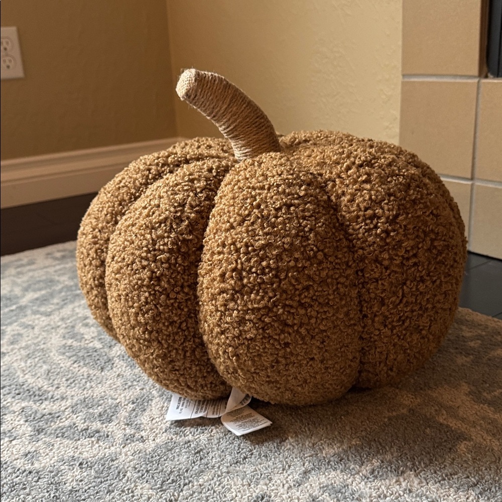 Pottery Barn Textured Plush Pumpkin Decor